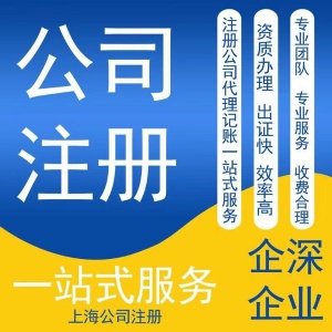 上海xx商务咨询有限公司